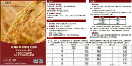 点击放大
