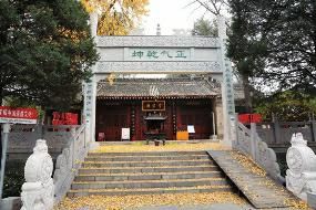 点击放大