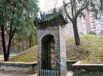 点击放大