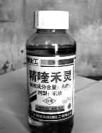 配图，点击放大