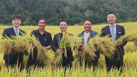 配图，点击放大